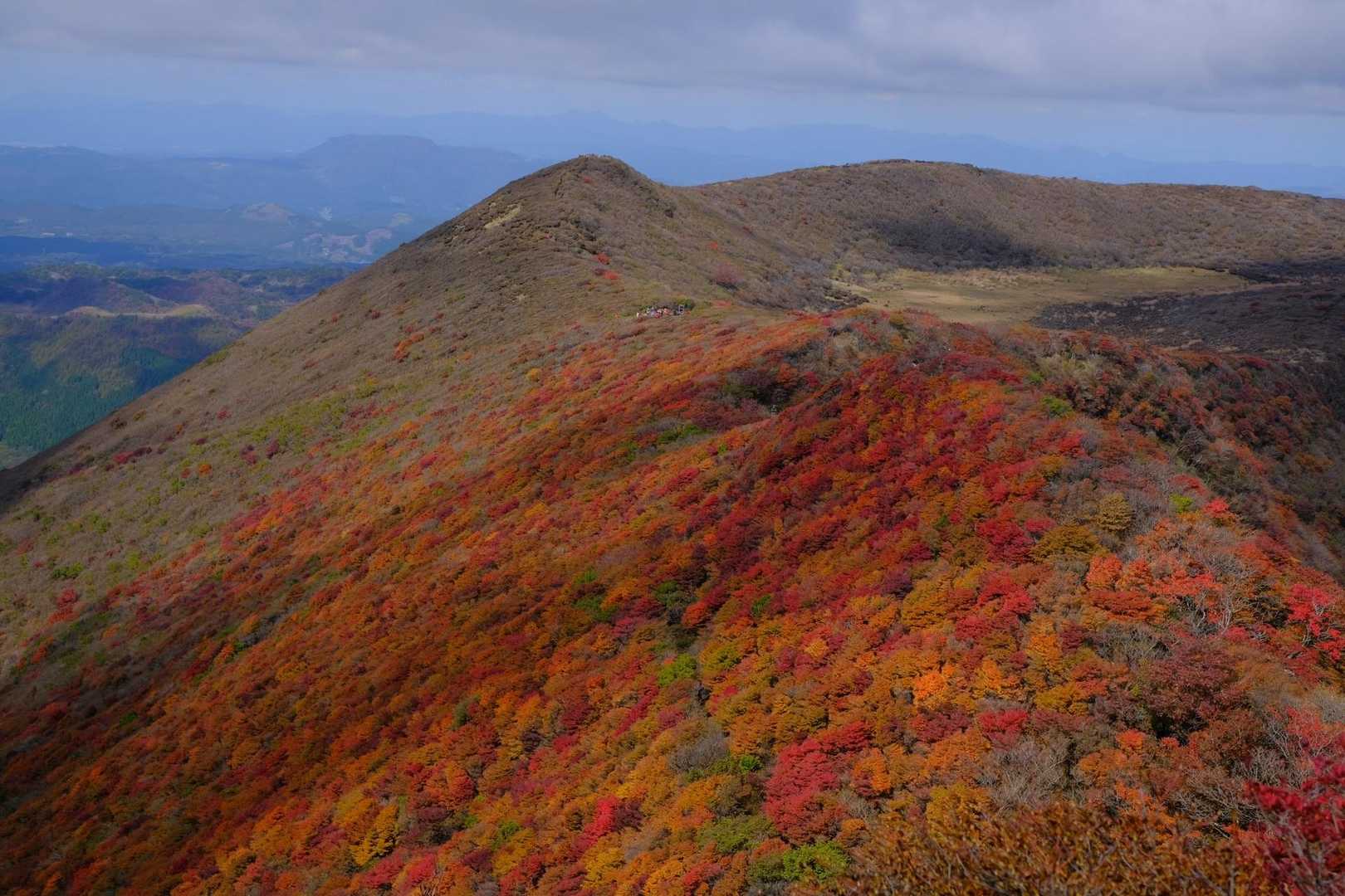 大船山往復 | くじゅう横断。森林・草原・展望をすべて楽しもうの写真