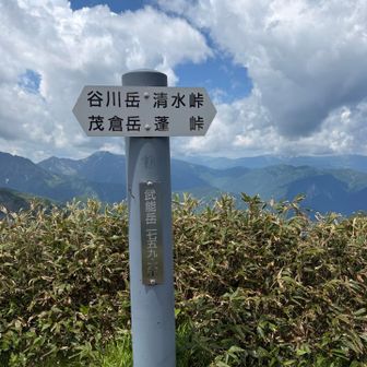 山頂