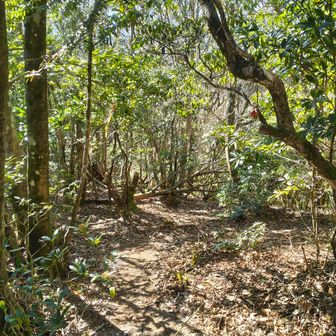 下山します🚶
ピストンなので当然激下りが予想されます💦