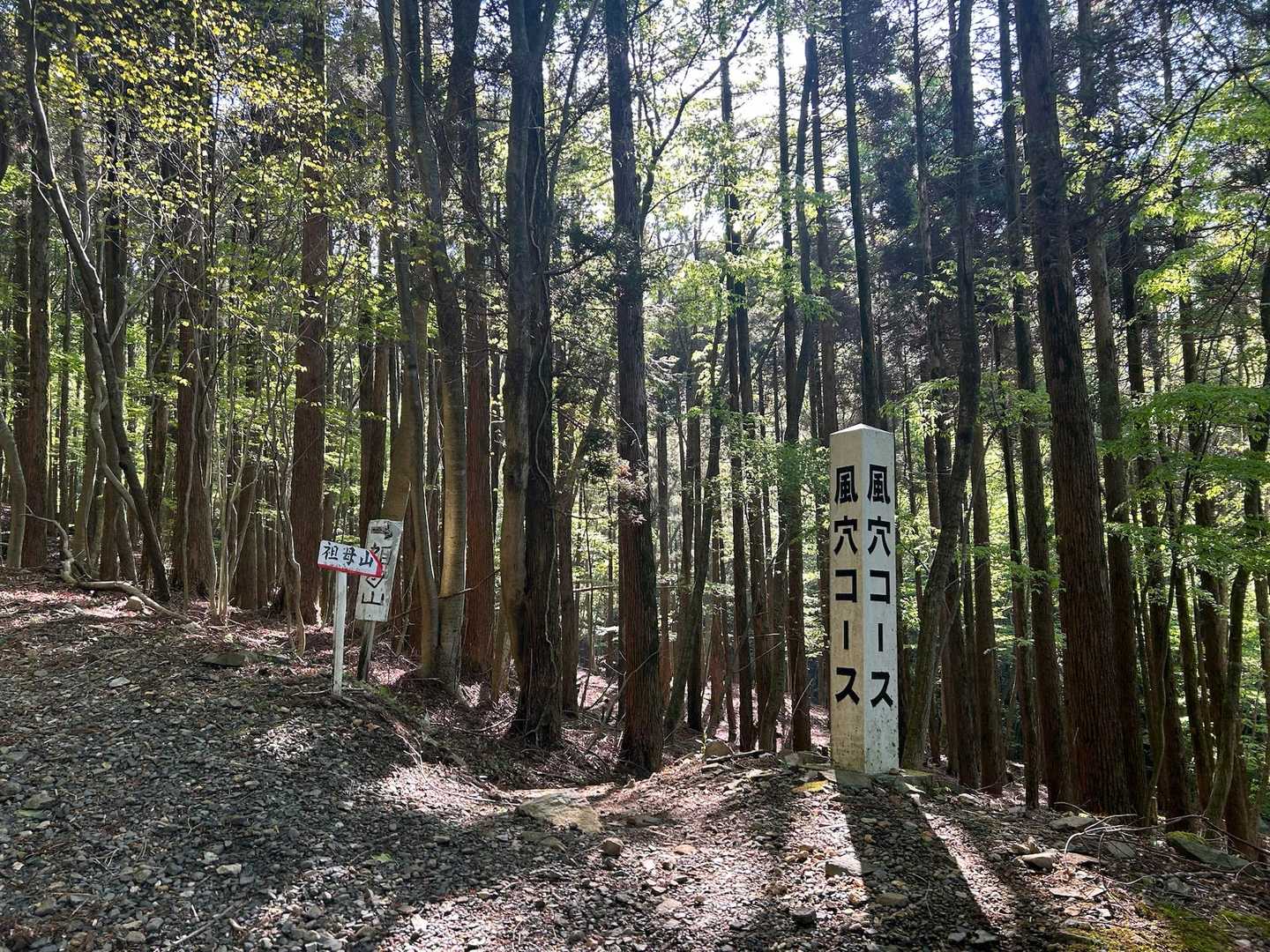 ただいま♫大きなビンは落ちていましたが、今回それ以外収穫なしです🐰