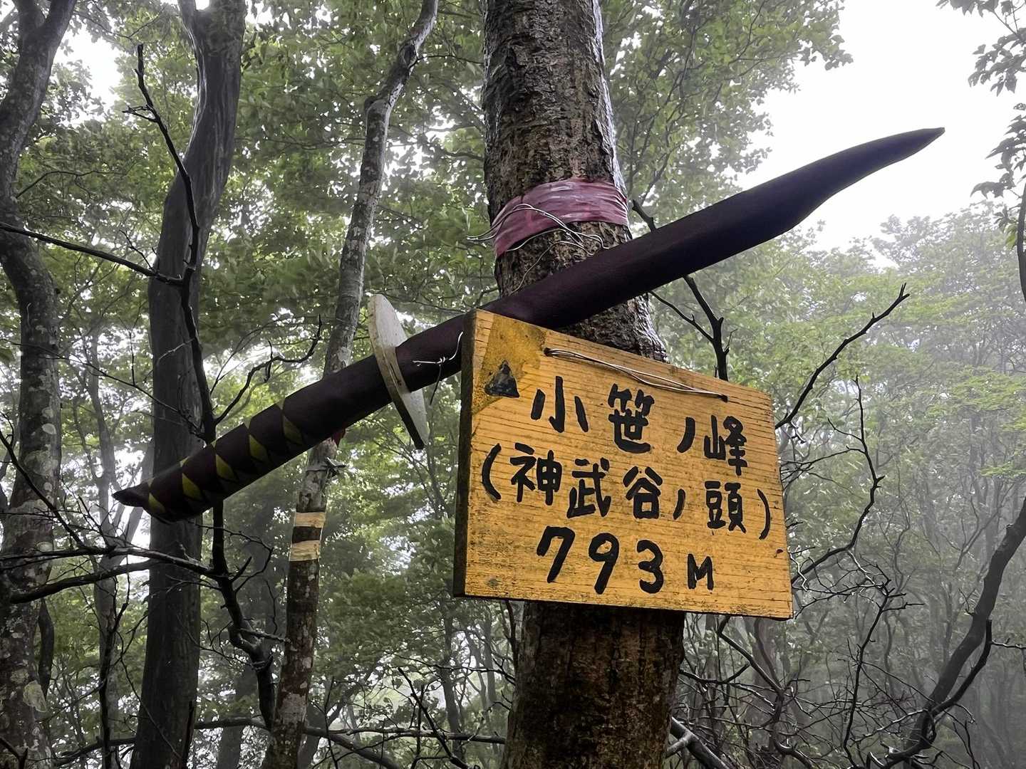 ここで，最後のピーク🔺
