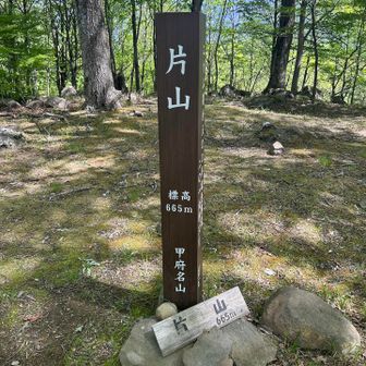 あっという間に片山到着。