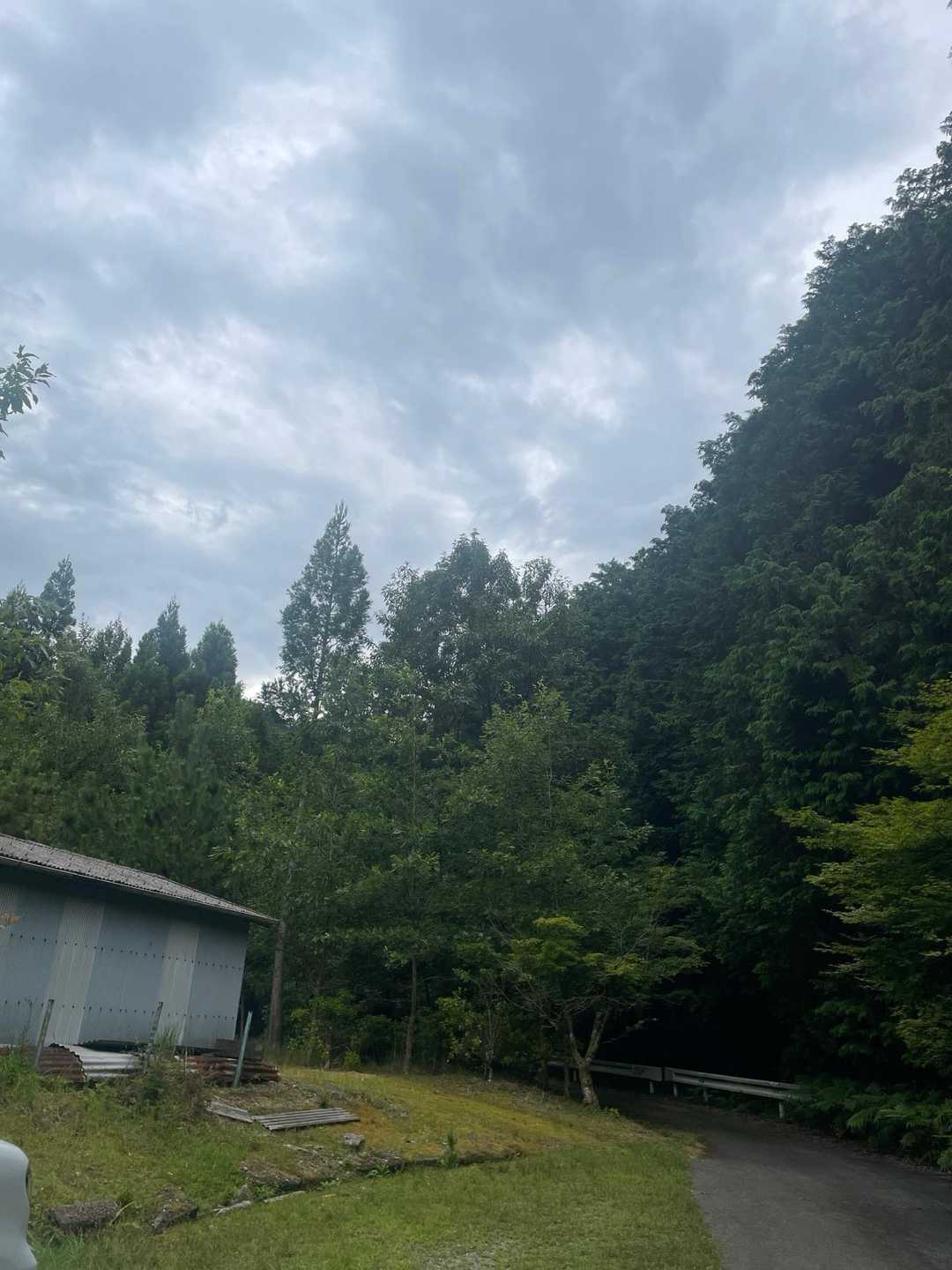 的山は2ヶ月ぶり😊
体力の低下がちょっと心配と思いながら登山開始😅