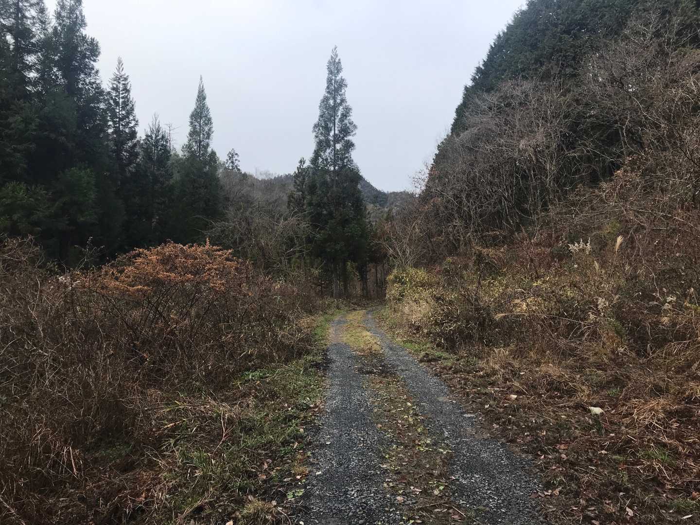 下山します

