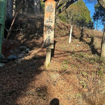 やっていなかった