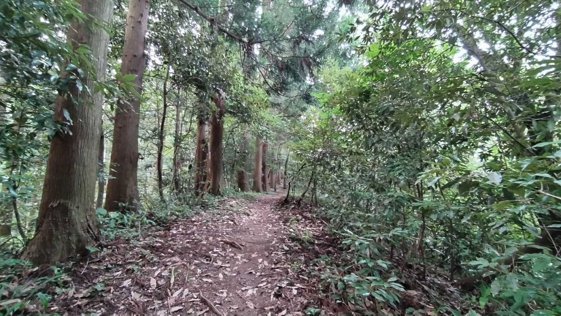 無風、滝汗💦💦