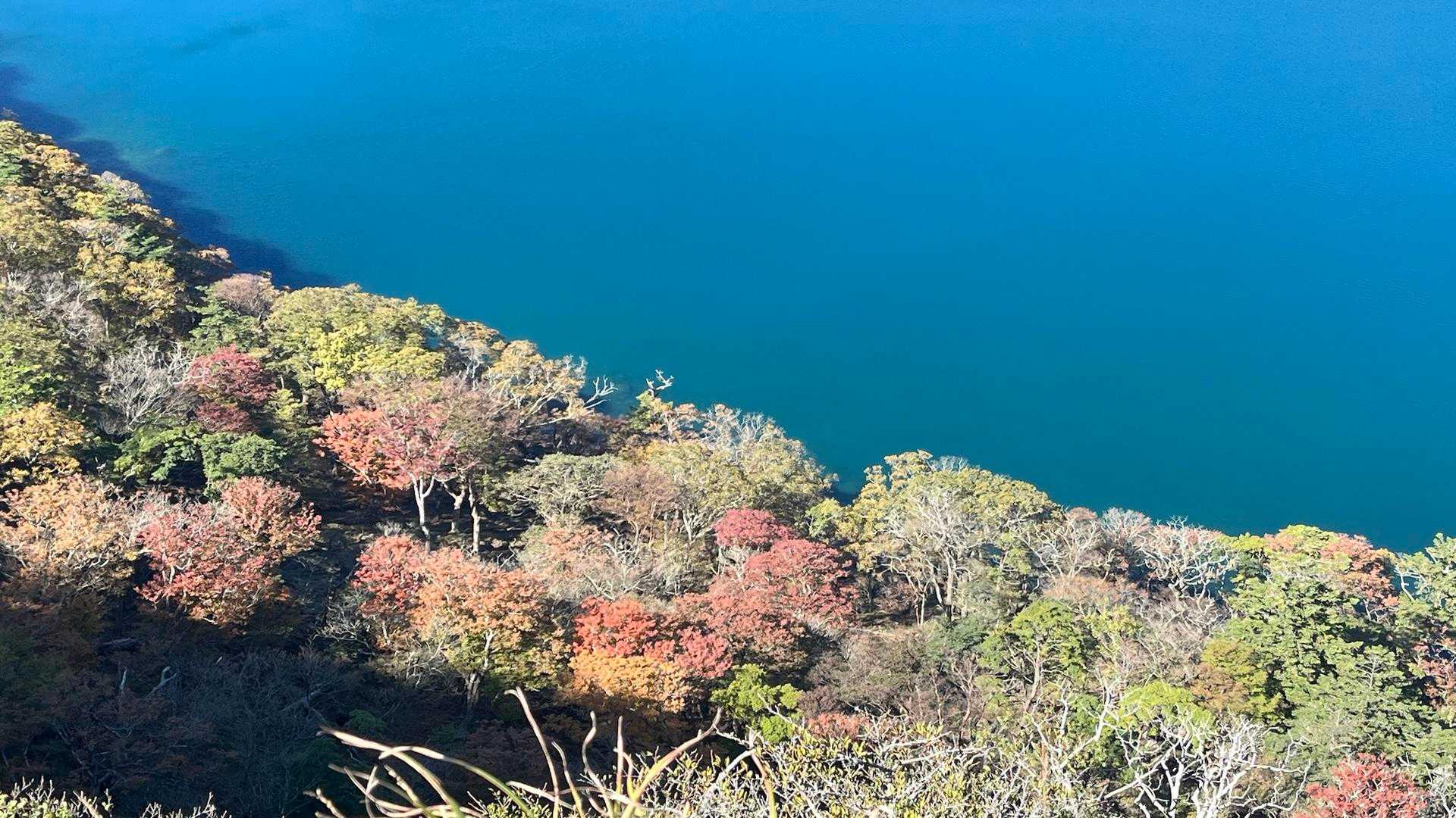 紅葉色付き始めと池のブルーが最高