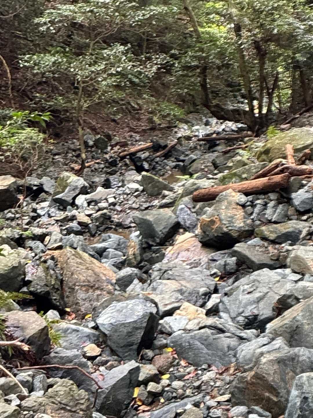 💦💦🚶🏼‍♀️