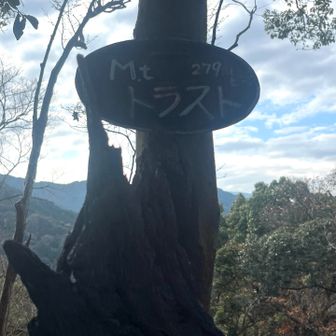 逆光で看板が見えにくい