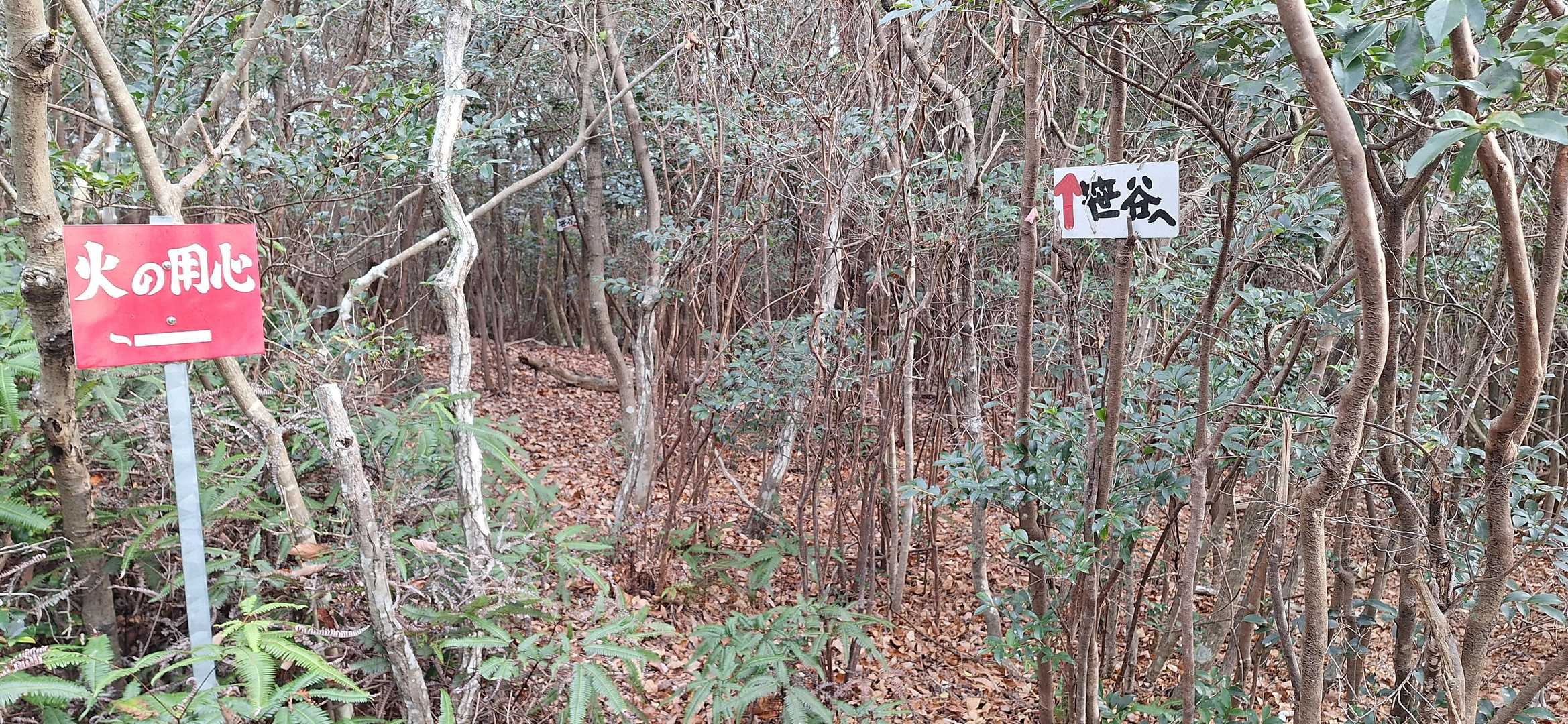 唯一の分岐点、笹谷方面に行けば兵庫県道557号に合流、県道を西有年方面に歩けばオタカからの縦走コースに合流しますが、笹谷ルートは百間嶽ルート同様、藪こぎ、イバラ処理を要しますので😨、私はお勧めしません⚠️