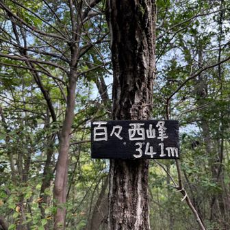 いつもと違うルート
ここは2回目かな