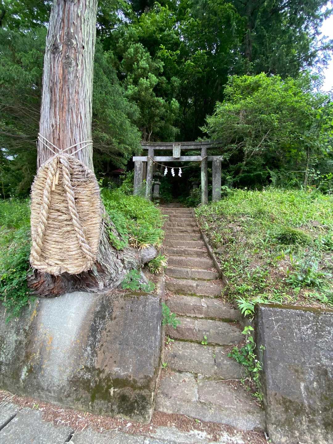 岩谷不動尊-浅間神社鳥居-富士山-刈場山 縦走コースの写真