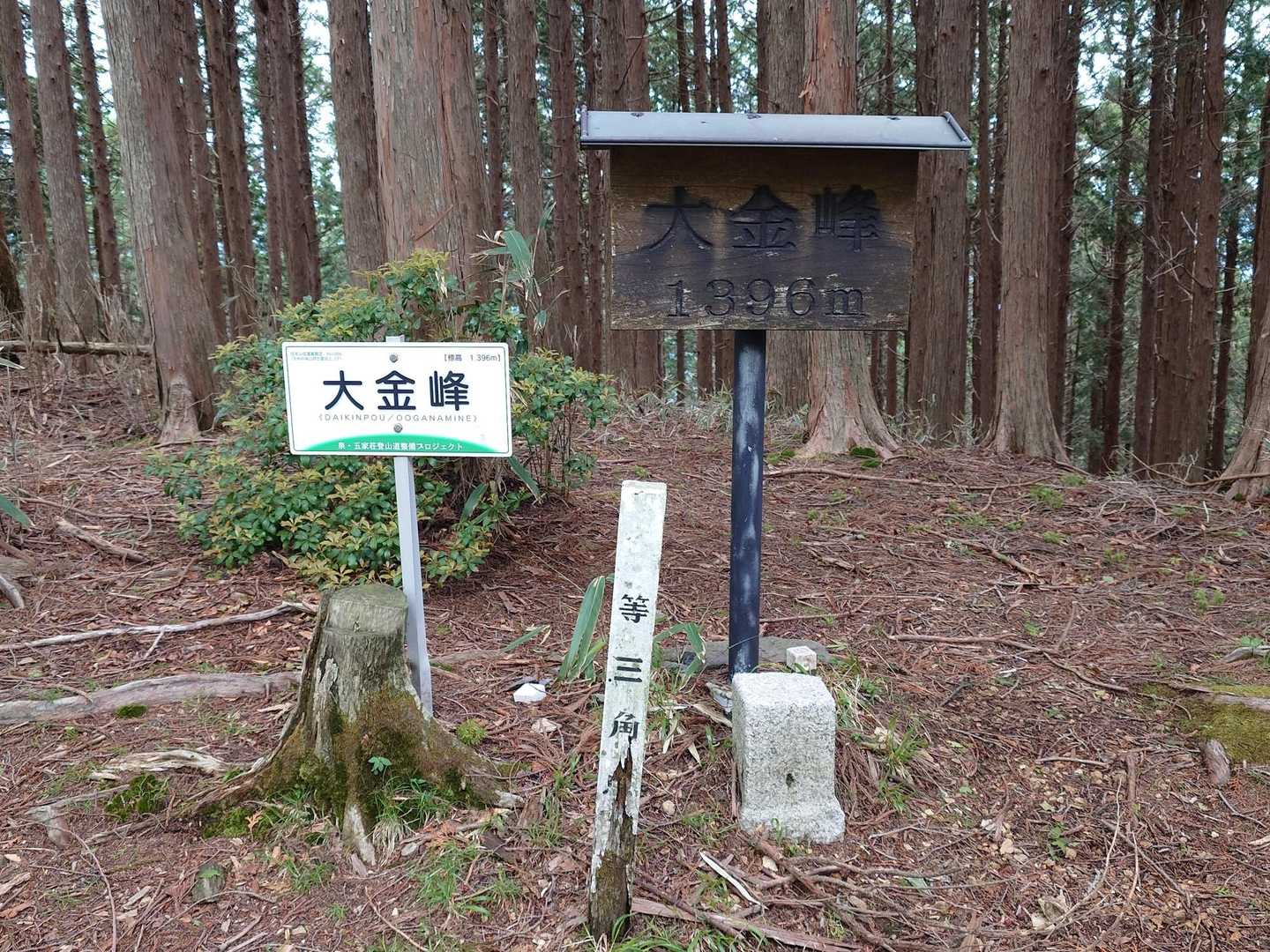 着きました。