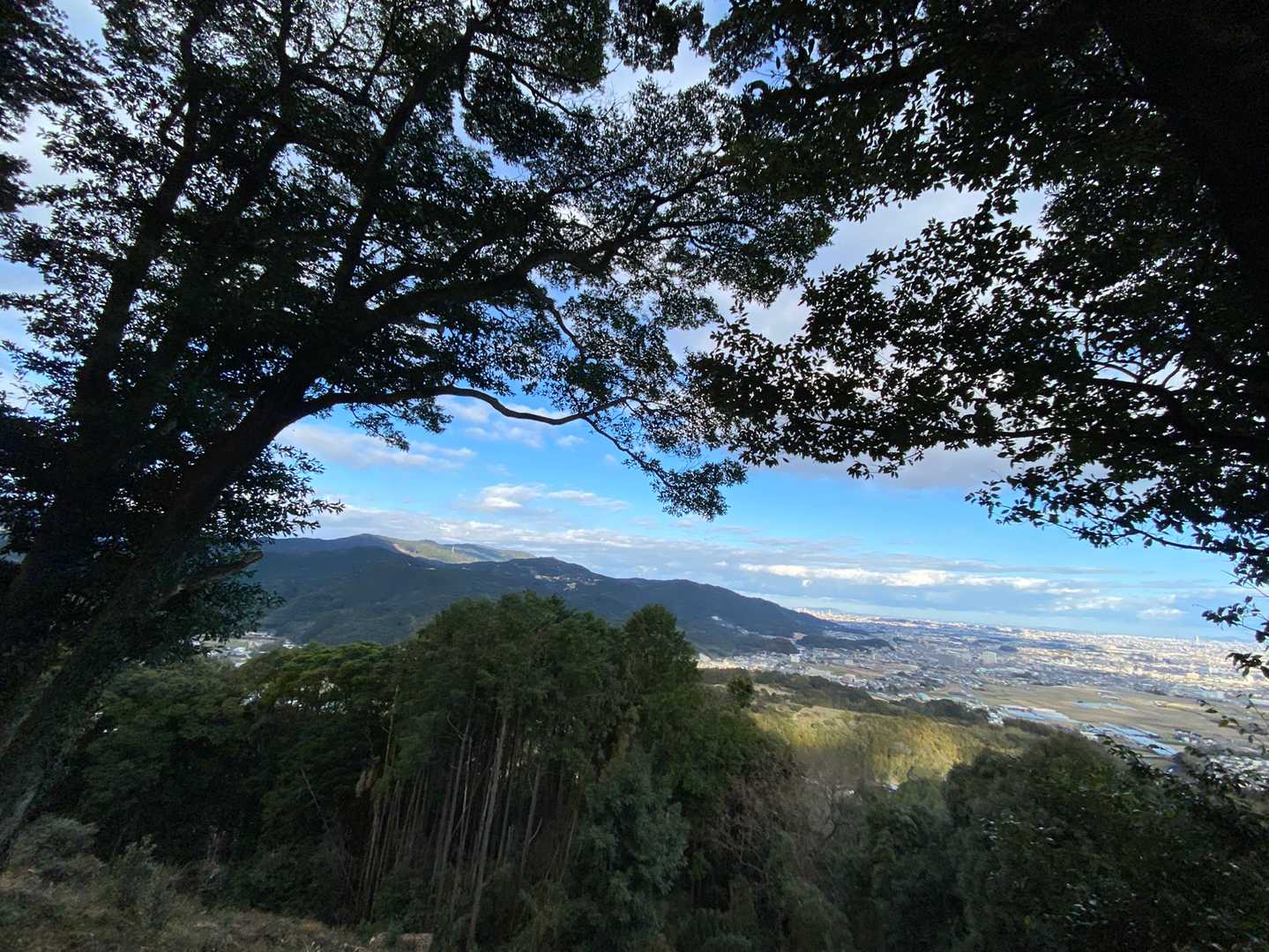 城山-矢岳 周回コースの写真
