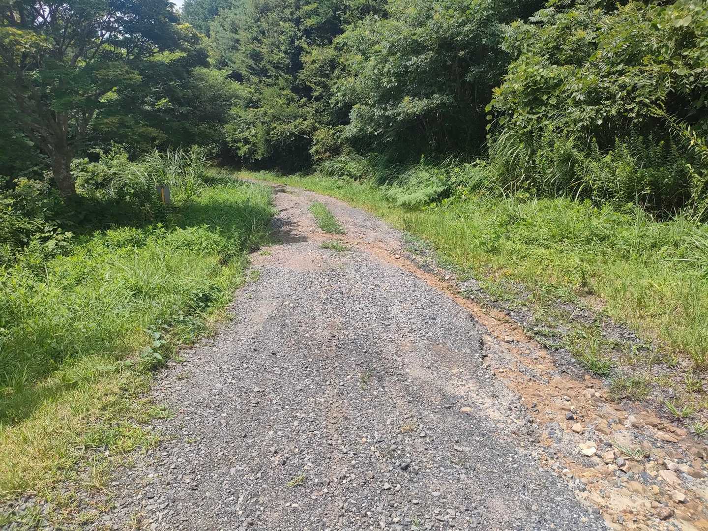 下山です。

周回します。

道路になってました。

砂利道を進む