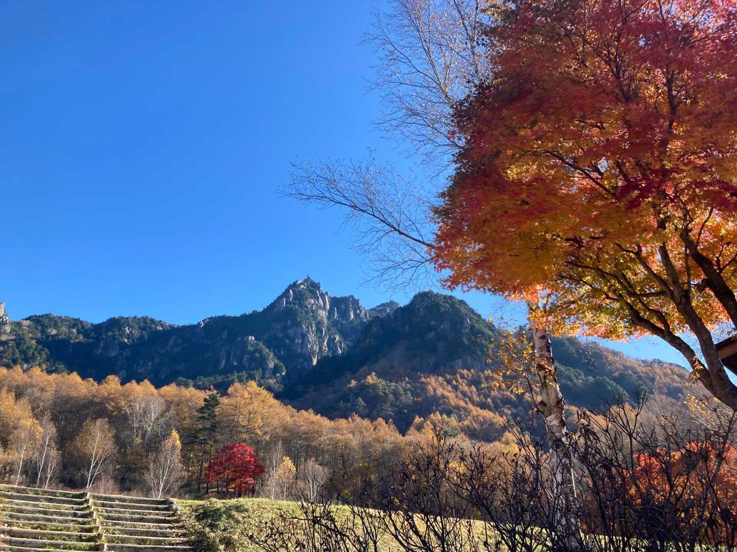 日本のヨセミテ (2019年6月NHK) 瑞牆山⛰️
来る途中のドライブで紅葉は🍁満喫できましたが　やっぱり絶景です✨