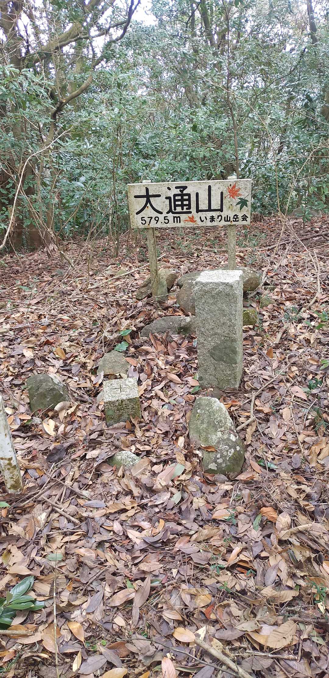 ここも何とか頂上プレートへ。