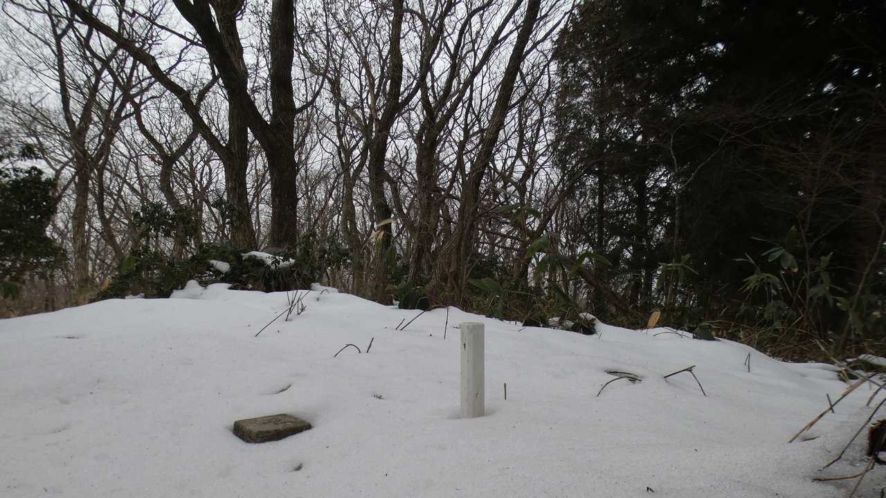 犬伏山山頂
二等三角点
基準点名：犬伏山（いぬぶせやま）

眺望はありません