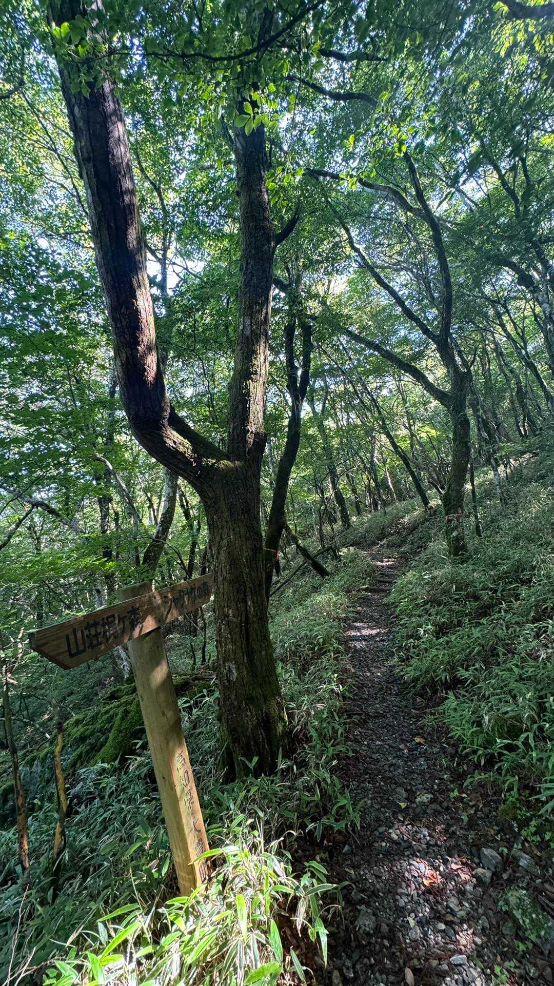 いいねぇ〜🚶‍♀️ﾃｸﾃｸ