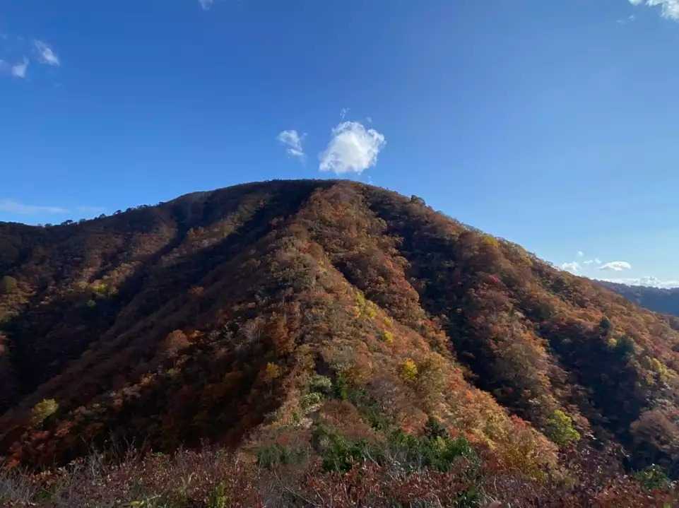 丈競山の写真