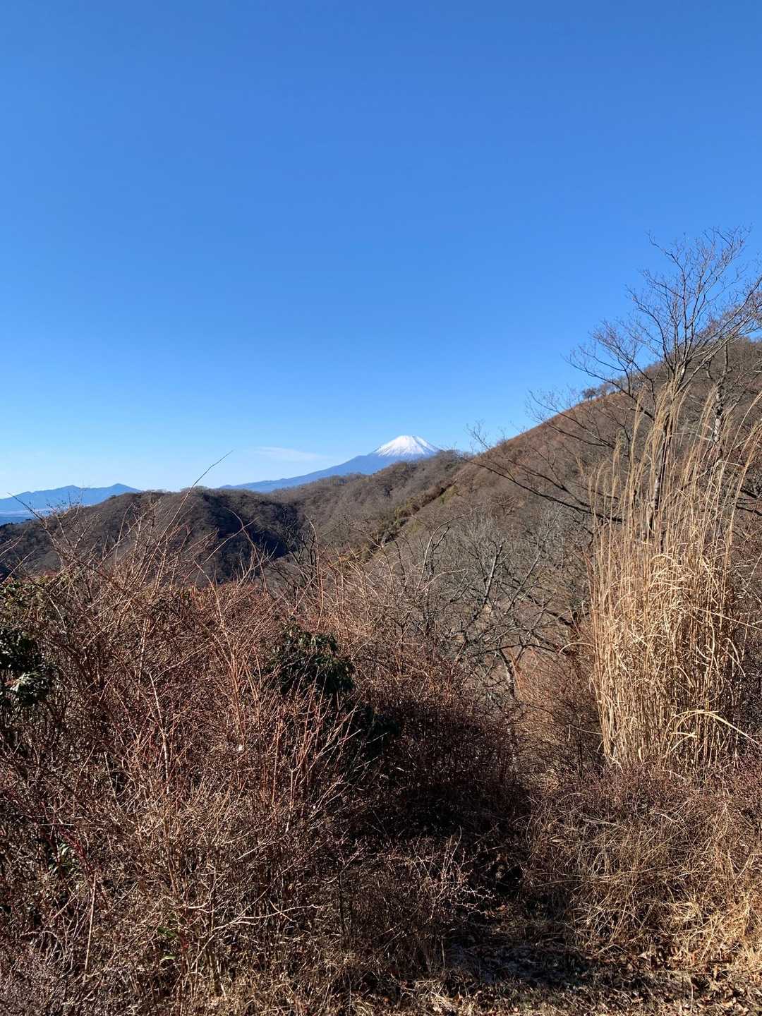からの富士山🗻