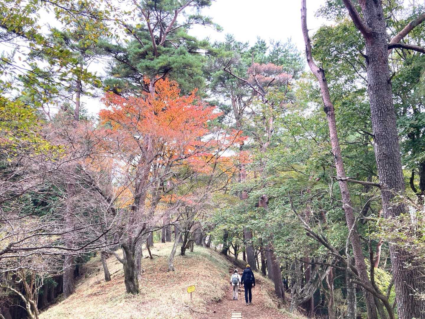しあわせな道♡