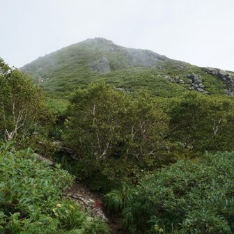 あれが本当の山頂です。