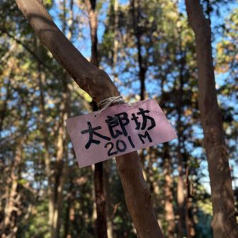 太郎坊で太郎山珈琲飲めばよかった。山頂近くにテーブルとベンチもあったし