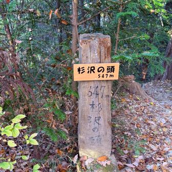 とりあえず新たなピークと！