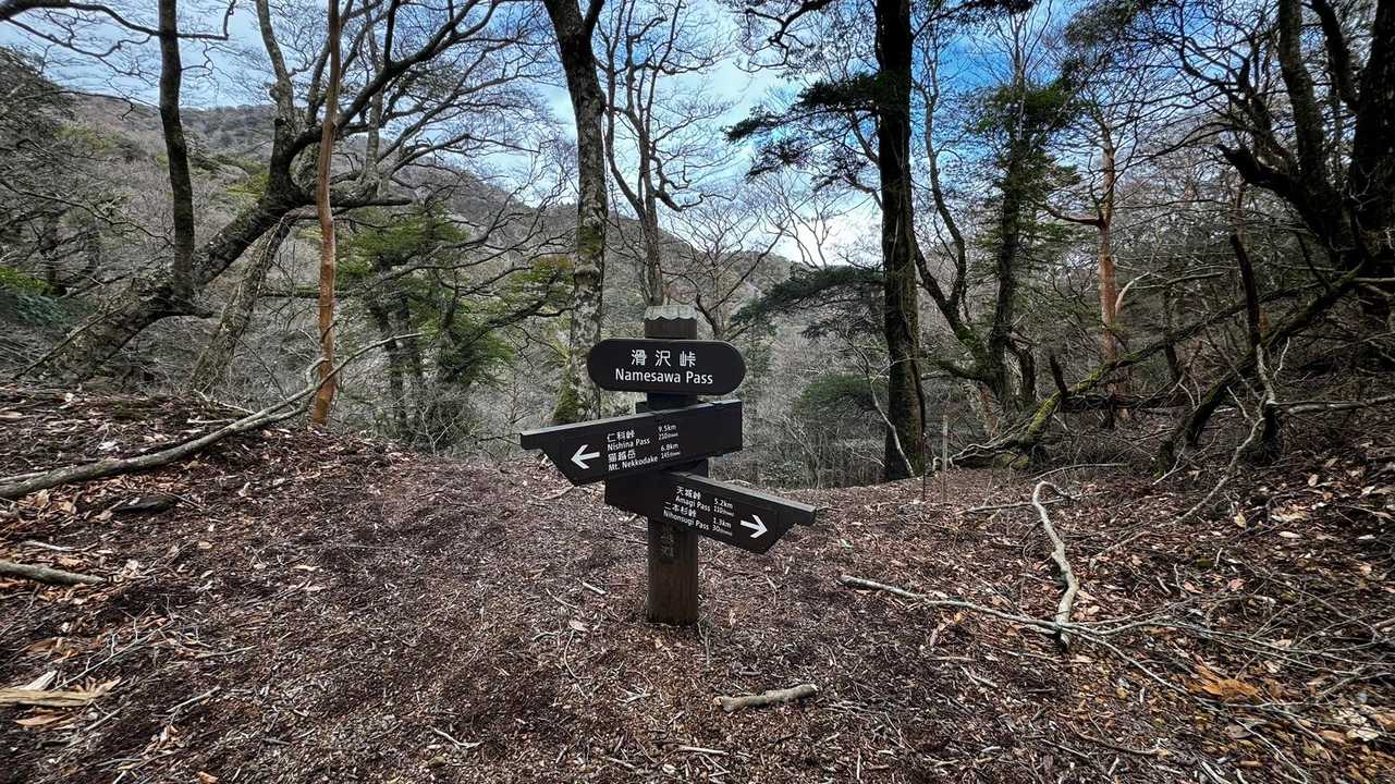 伊豆山陵線トレイル（三蓋山・水呑頭・猫越岳・後藤山・魂の山・棚場山・伽藍山・古稀山・達磨山・小達磨山） の写真 15