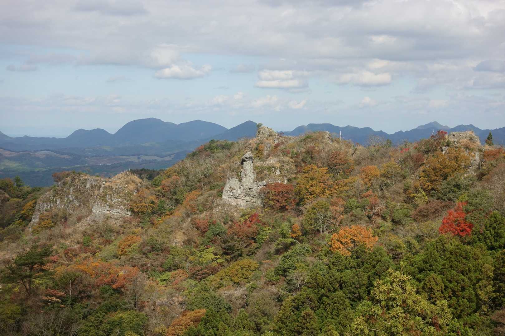 太陽石です。もうもろにアレですね。男性の股間にあるアレですね。