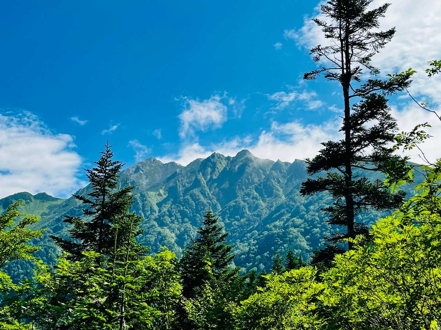奥穂高岳-西穂高岳-西穂丸山-西穂高口駅 縦走コースの写真