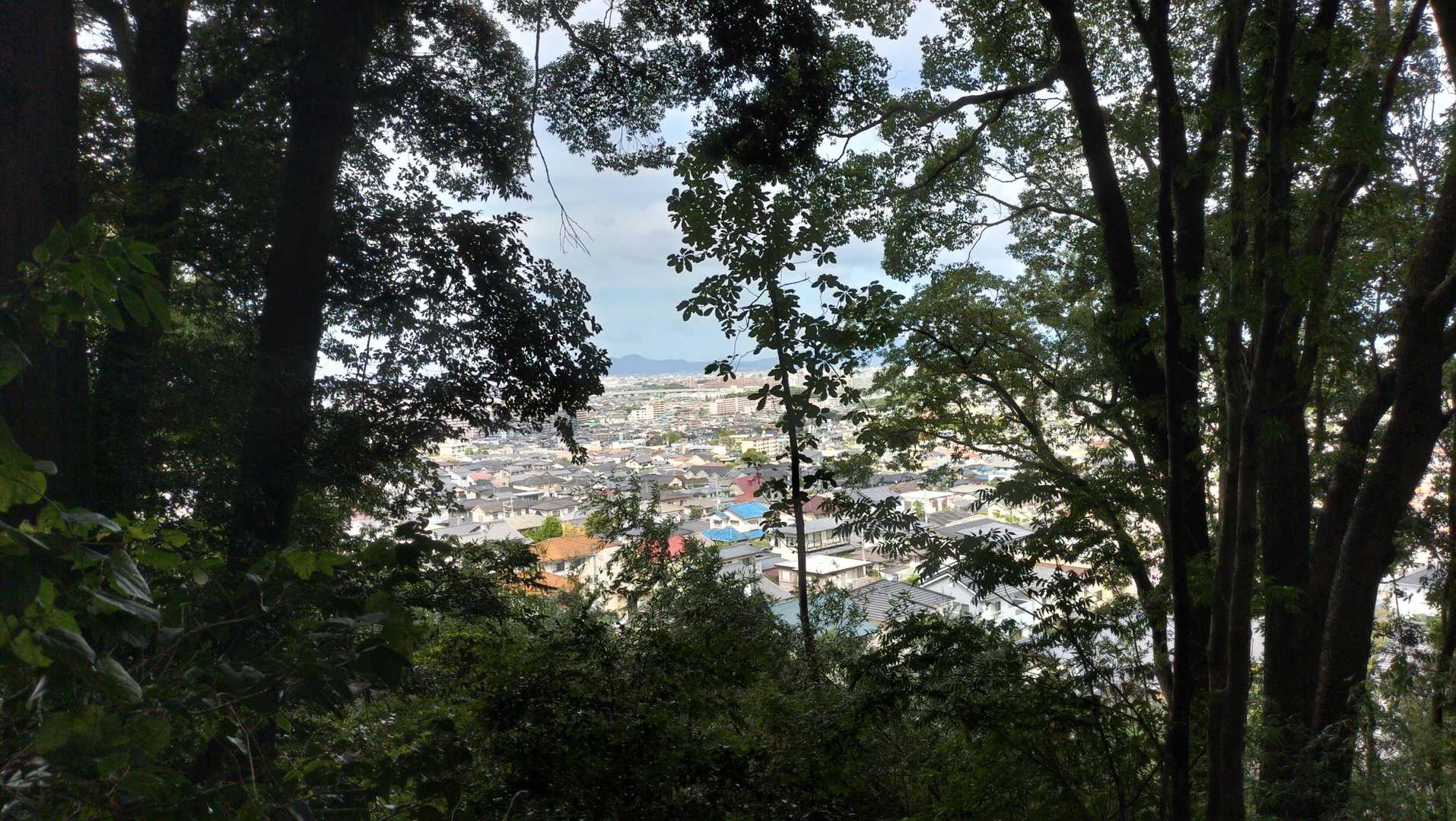 樹林帯の隙間から見える住宅街。