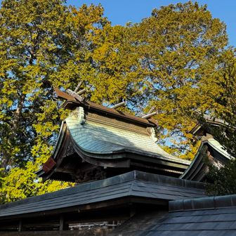 本殿がご立派！