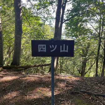 そこから下り上りを繰り返します
まずは四ツ山ピーク