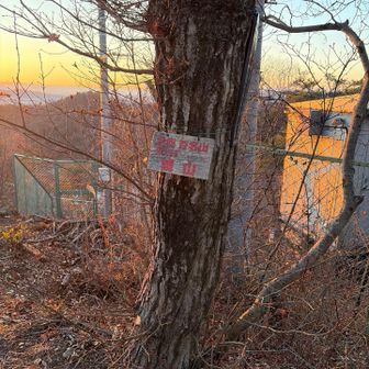 やっと最後の山です⛰️