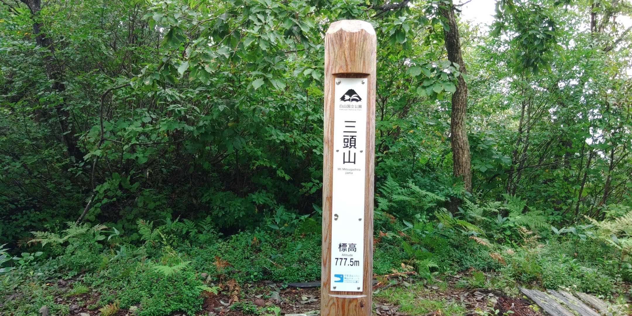 大師山登り口-大師山-三頭山-白山禅定道入口 縦走コースの写真
