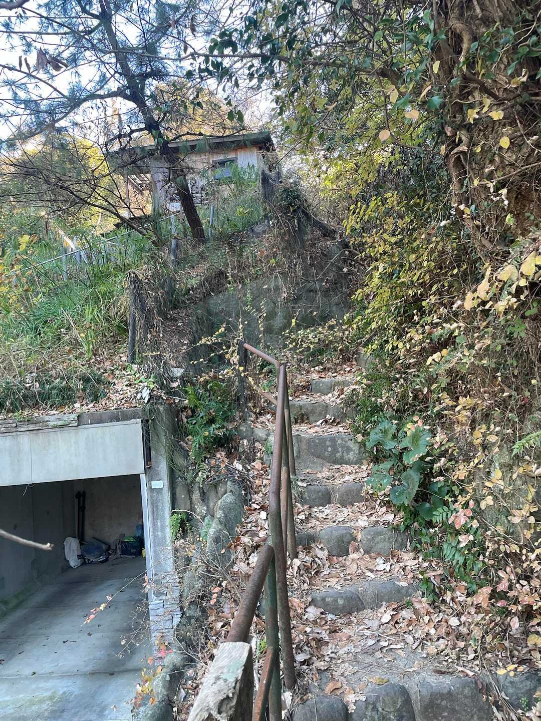 ちょっと不安になるようなハイキング道の入り口でした
ここで大丈夫だよね