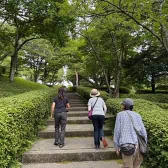 長い階段を登ると