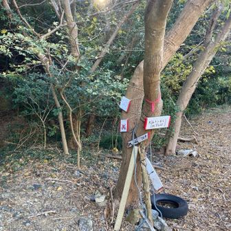 大山トンネル北登山口があります