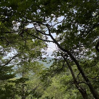 最後に目指す英彦山があそこに！