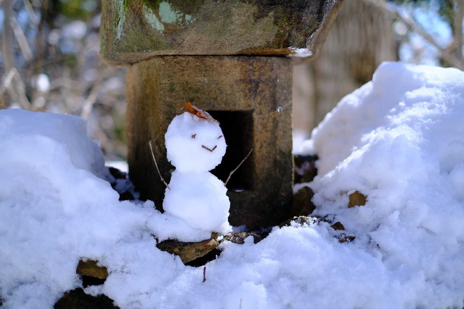 奉納⛄