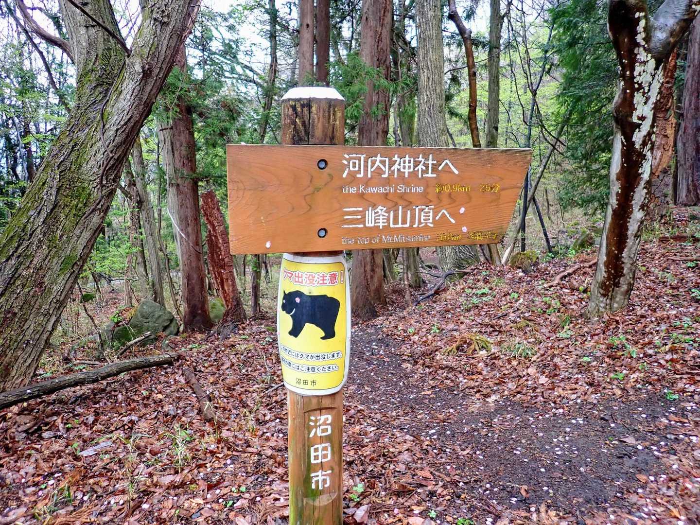 🐻⚠️➡️へ