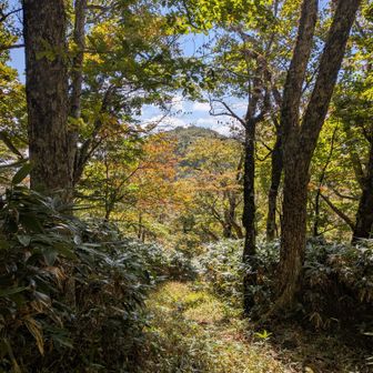 奥に安蔵寺山山頂。