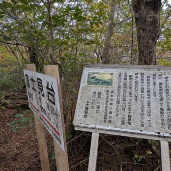 富士見台ではもう富士山見えない…🫣
