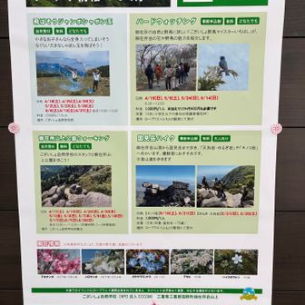 こんなのあるらしい