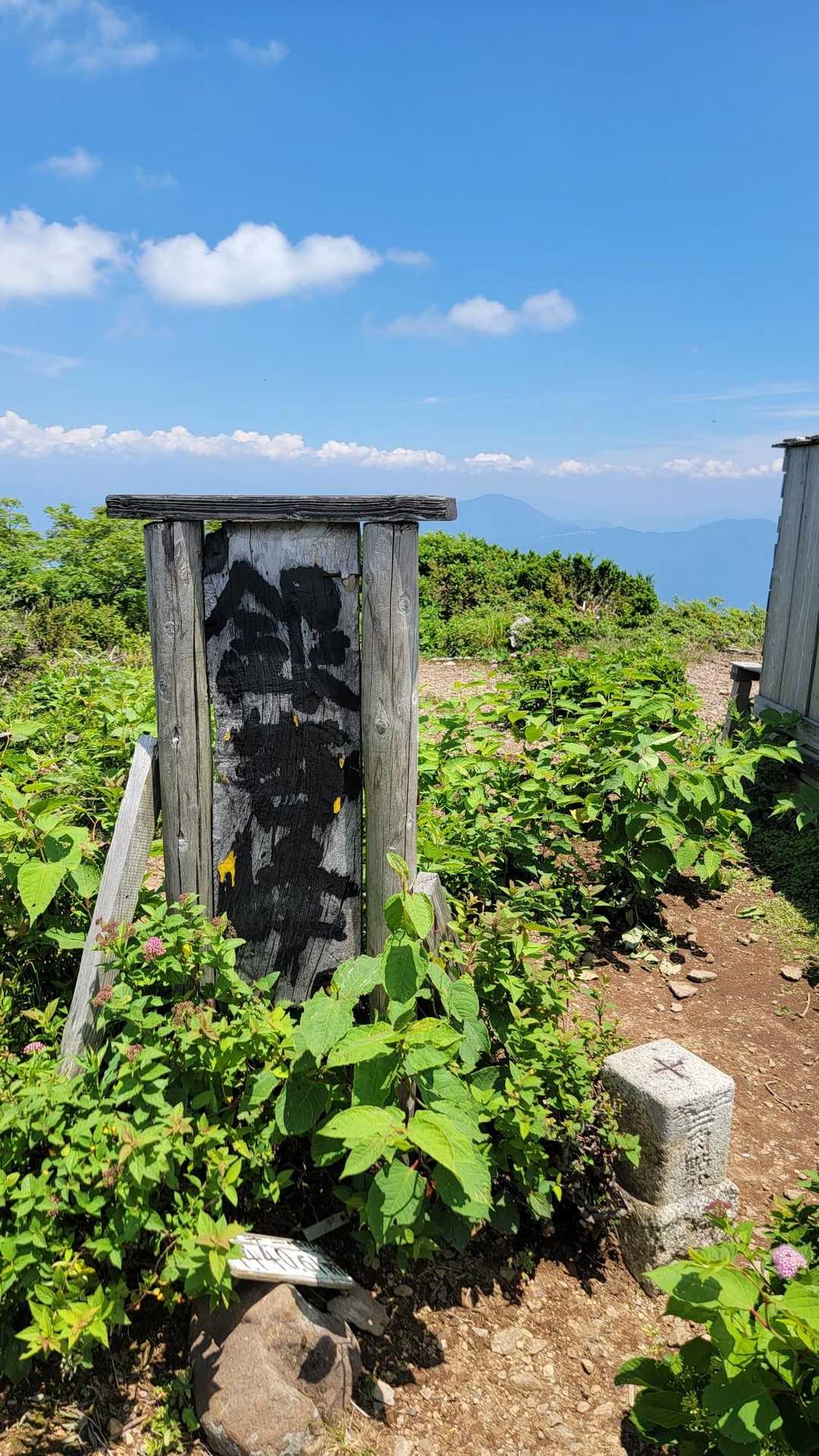 小葉谷登山口-銀杏峯 往復コースの写真