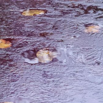 流石に標高が高いだけあって　少し凍っていました😅❗️