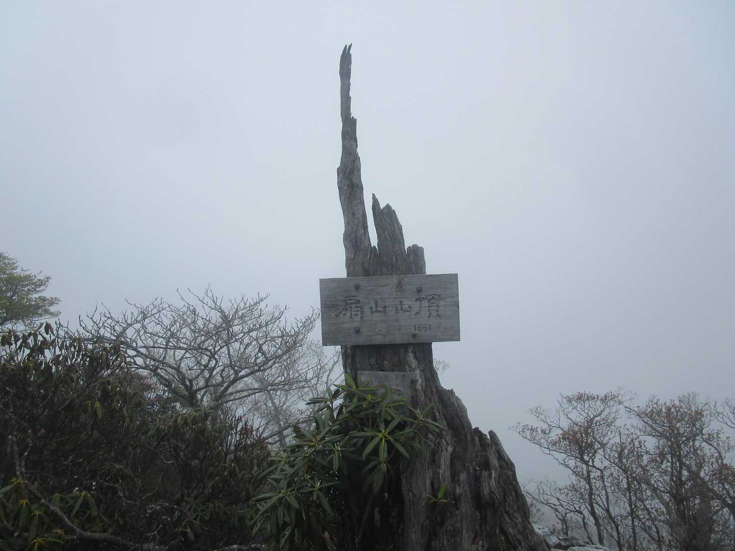 内の八重登山口-扇山 往復コースの写真