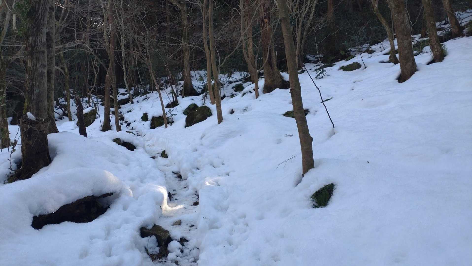 雪が増えてきましたがトレースはしっかりあります